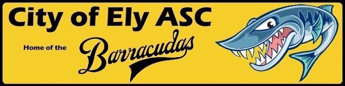 City of Ely Swimmers bagging County Times!